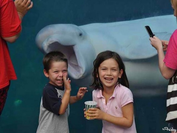 Photobomb 19