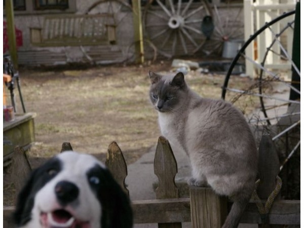 Photobomb 17