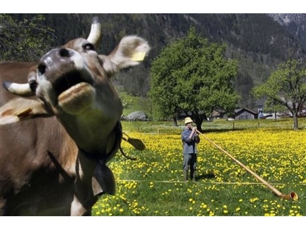 Photobomb 16