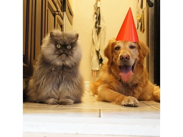 20