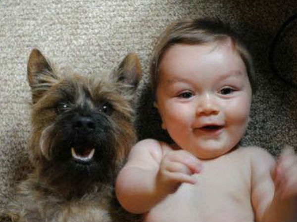 Babies Need Dogs