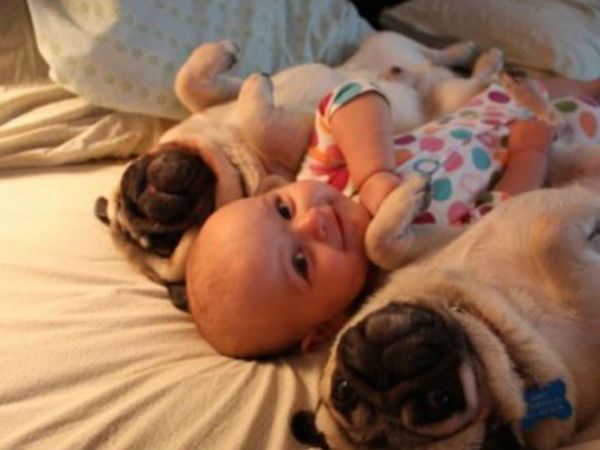 Babies Need Dogs