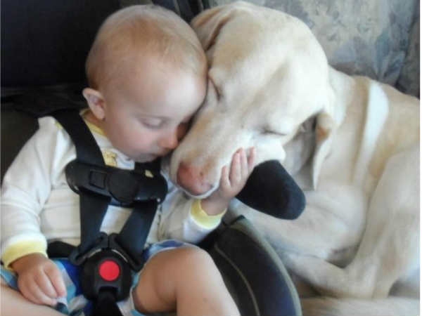 Babies Need Dogs 