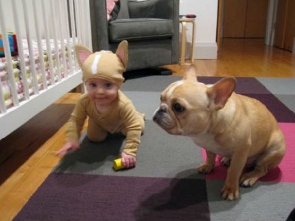 Babies Need Dogs