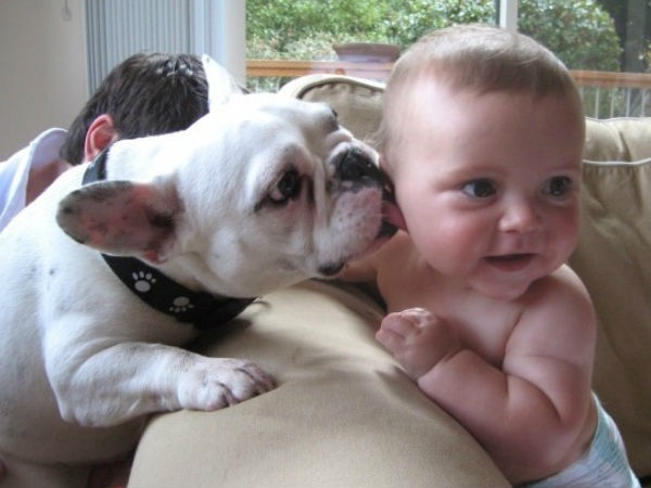 Babies Need Dogs 