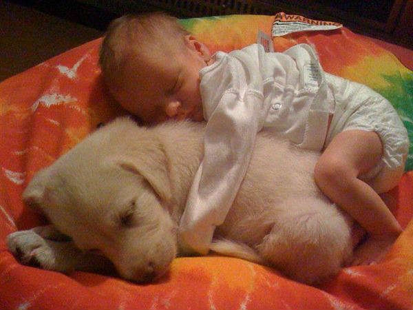 Babies Need Dogs