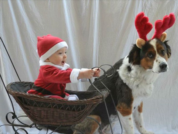 Babies Need Dogs