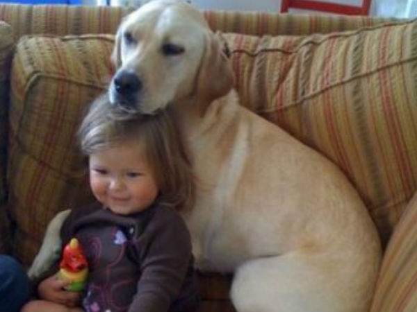 Babies Need Dogs
