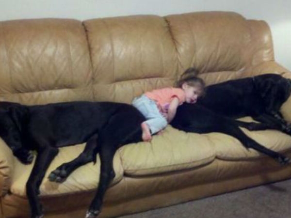Babies Need Dogs