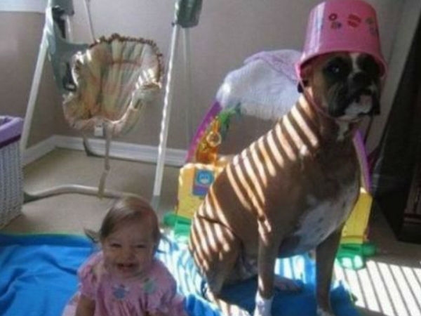 Babies Need Dogs