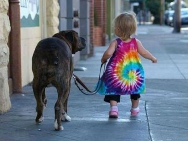 Babies Need Dogs