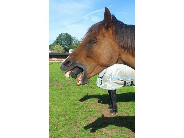 Photos Taken at the Exact Right Moment