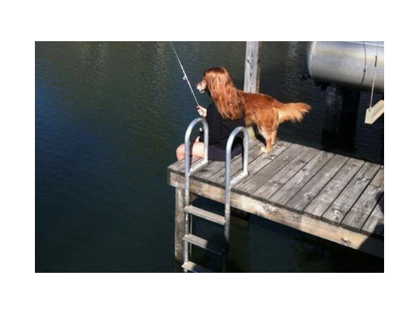 Photos Taken at the Exact Right Moment