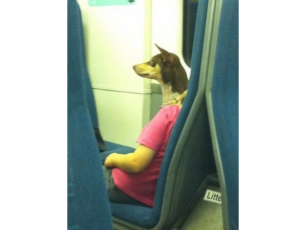 Photos Taken at the Exact Right Moment