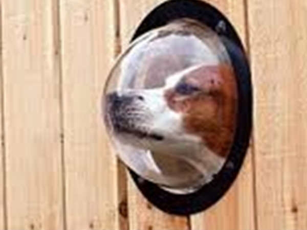 Kipper