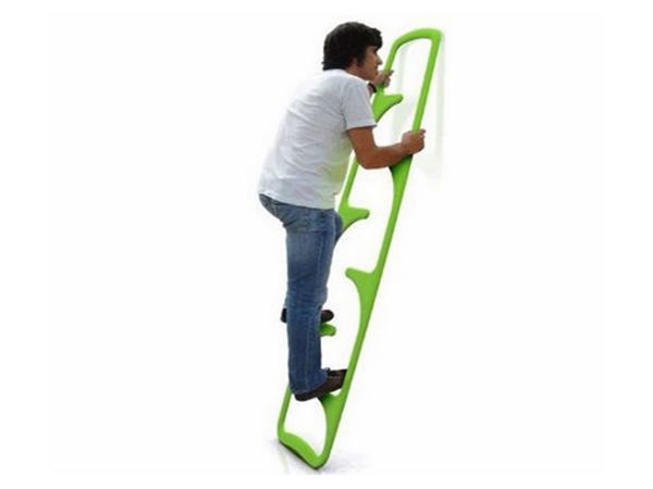 ladder
