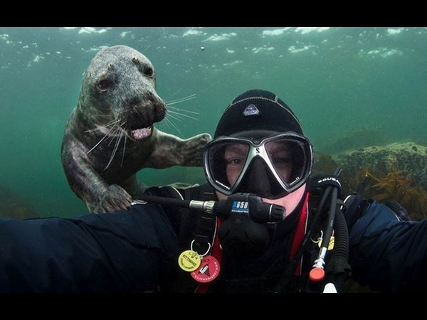 Best Photobombs Ever Caught On Camera