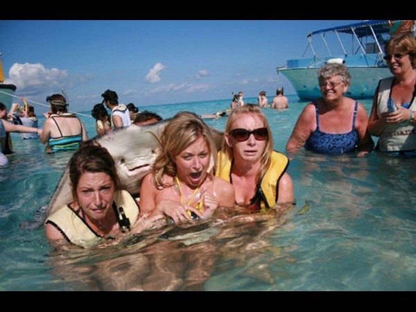 Best Photobombs Ever Caught On Camera 