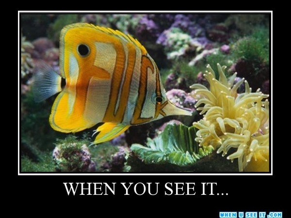 Shocking Pics That Can't Be Unseen
