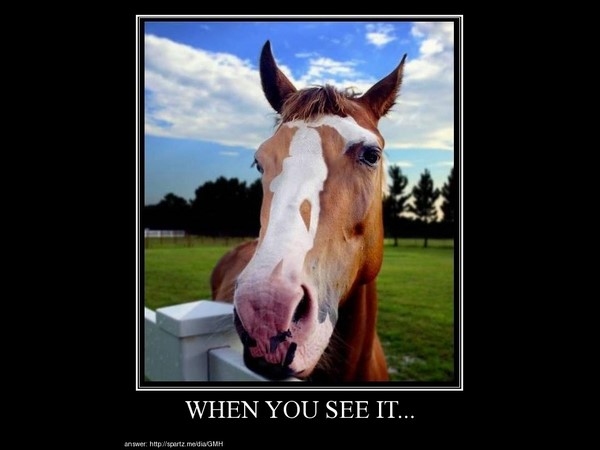 Shocking Pics That Can't Be Unseen