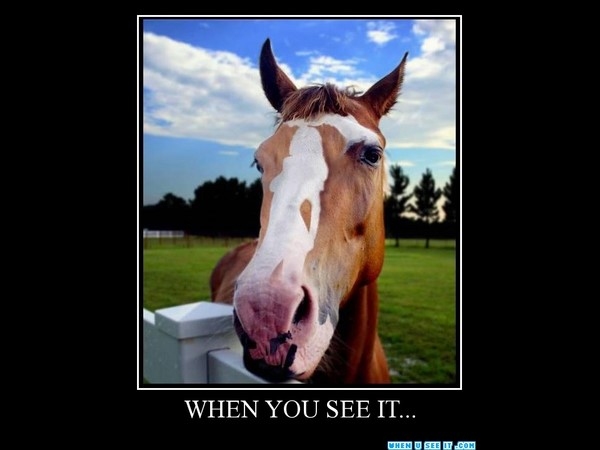 Shocking Pics That Can't Be Unseen