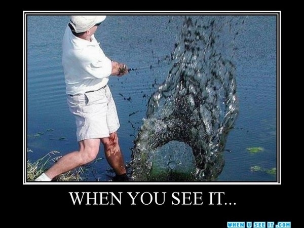 Shocking Pics That Can't Be Unseen