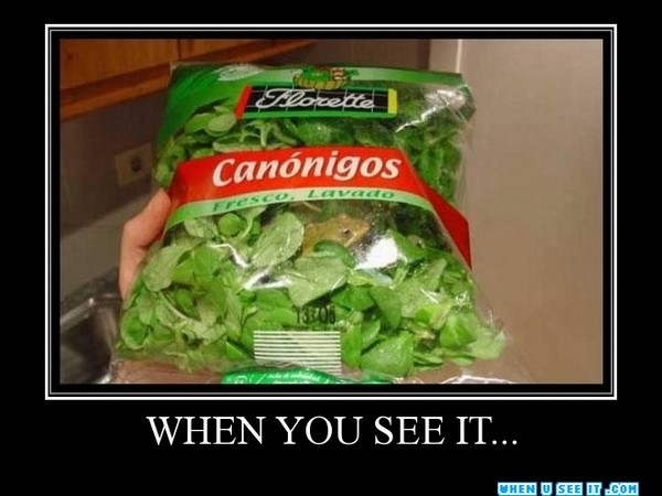 Shocking Pics That Can't Be Unseen