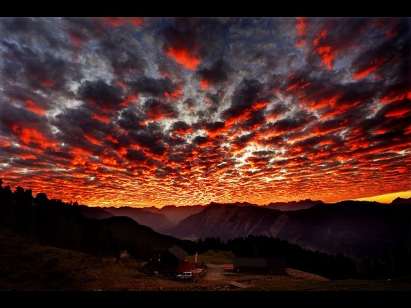 World Photography Day