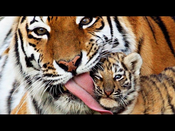 World Photography Day