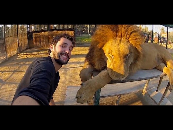 Most dangerous selfie