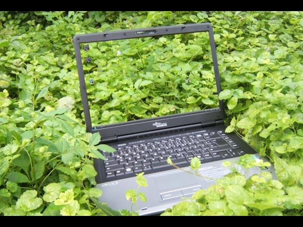 Transparent Screen photo