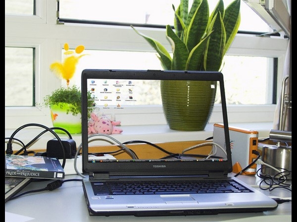 Transparent Screen photo