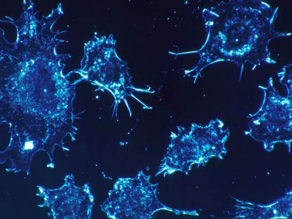 Cancer Controlling Gene