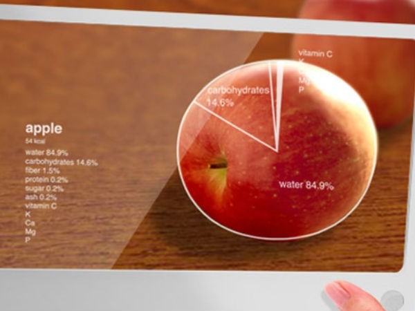 Future of Mobile Search for Diet