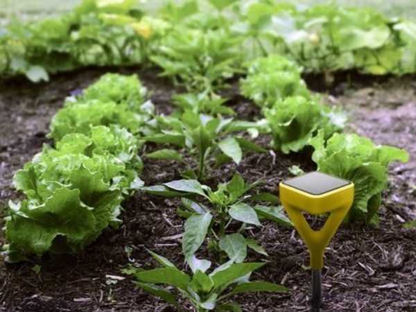 solar-powered gardening system