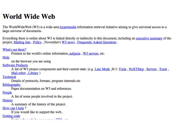 The First Website