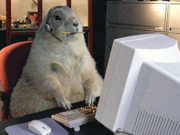 Just Working