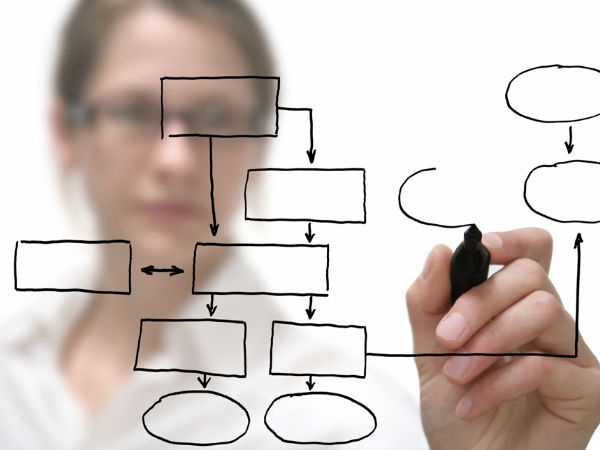Application architect