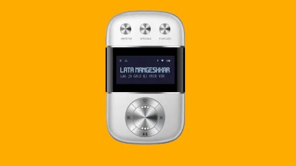 Carvaan Go Speaker