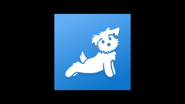 Yoga | Down Dog