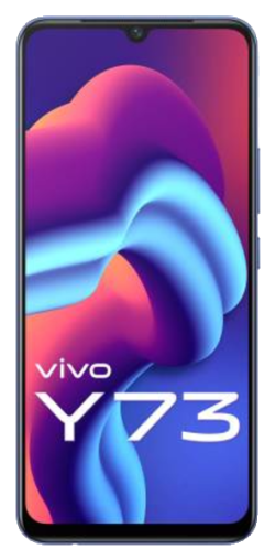 Vivo Y73
