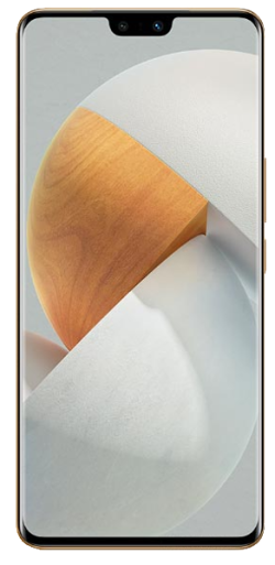 Vivo S12