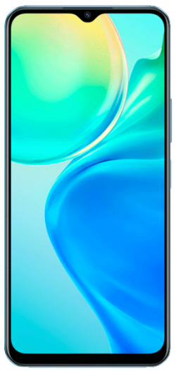 Vivo Y73t