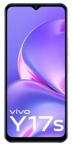 Vivo Y17s
