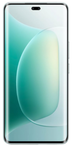 Honor 300 Pro