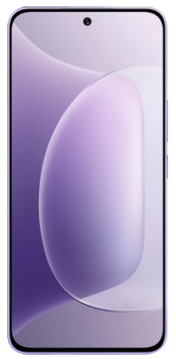 Honor 300